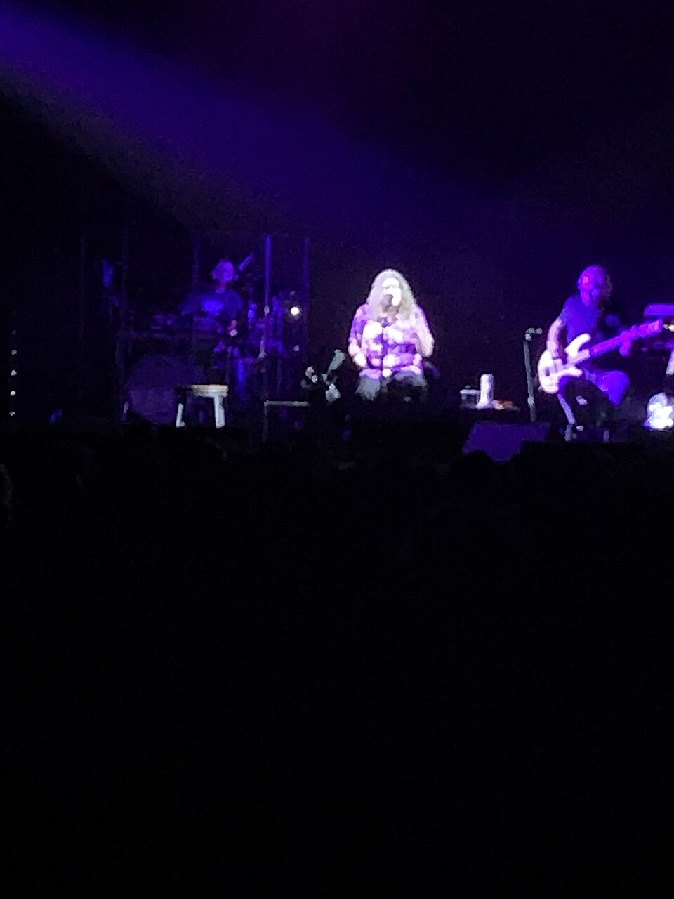 Weird Al Yankovic concert